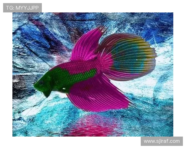 加拿大28咪牌玩法详解与最新技巧分享帮助玩家轻松掌握游戏策略